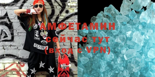 индика Алзамай
