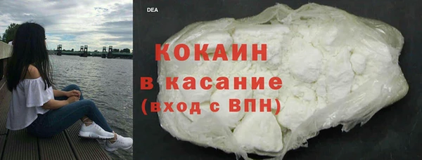 индика Алзамай