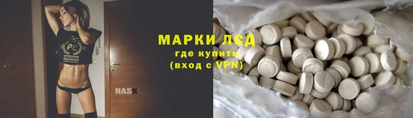 индика Алзамай