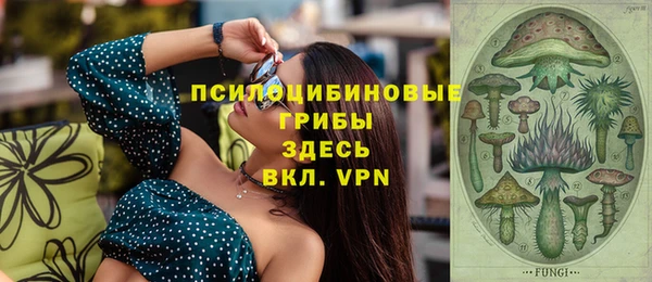 крисы Алексеевка