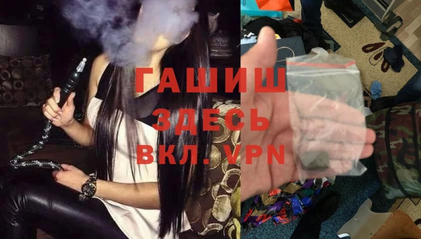 индика Алзамай