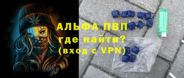индика Алзамай
