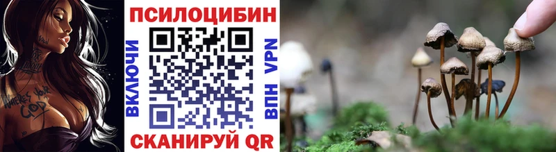 Псилоцибиновые грибы мухоморы  купить наркотики сайты  Сосновка 